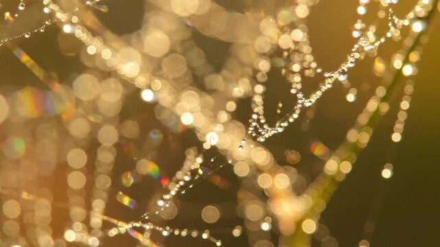 Light Effects Bokeh Diffraction