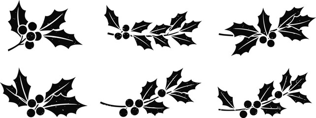 Fototapeta premium Holly leaves and berries isolated on white background christmas decoration elements, winter foliage botanical illustration