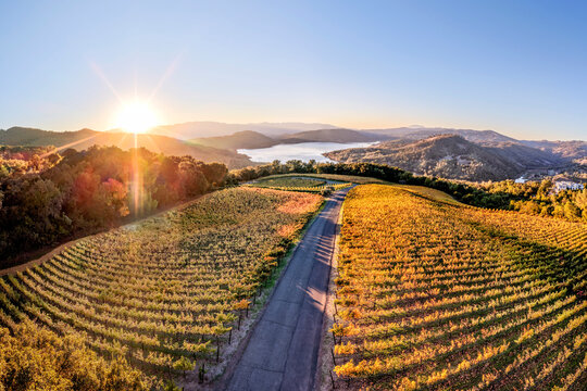 Aerial view of vineyards in the eastern hills of the Napa Valley AVA overlooking Lake Hennessey reservoir at sunset in Napa County, California, USA.