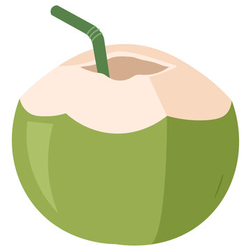 Thai Coconut Water Street Drink Vector