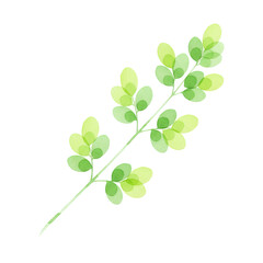 Fototapeta premium Watercolor illustration of green leafy stem. Nature inspired art for natural product branding or spring seasonal design. Minimalist botanical element.