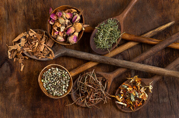 Herbs and Spices on Wooden Spoons