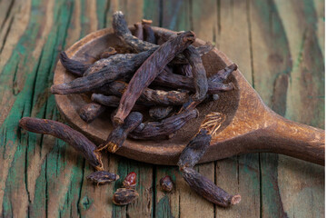 Gathering Dry Pods of black pepperon a Wooden Spoon