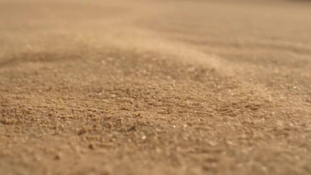 Beachfront Sand Dance Medium close-up of fine sand on a pristine beach being lifted and skittered across the surface by a brisk wind, blurring the line between land and air, with gentle waves in the