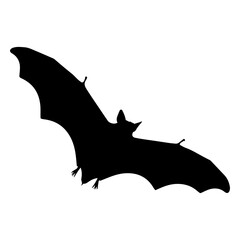 Obraz premium Flying Bat Silhouette Vector Illustration isolated white background