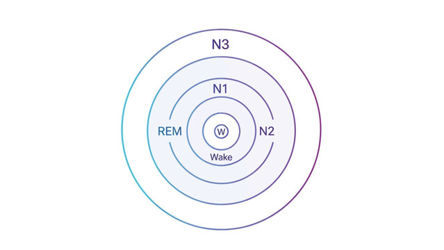 Concentric Circles Diagram with Labels.