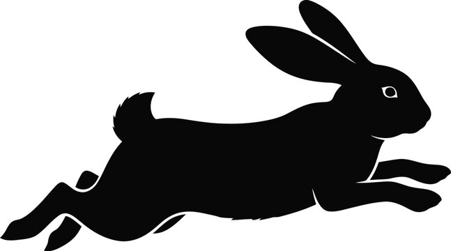 Black rabbit running on orange background