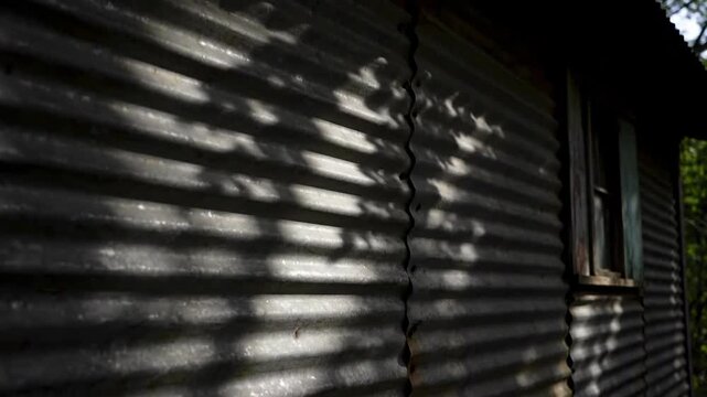 Rustic corrugated iron shed with window and shadow of trees in nature.