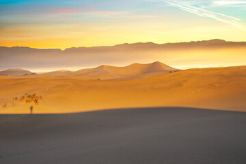 Fototapeta premium Desert Sand Dunes in Death Valley at Sunrise