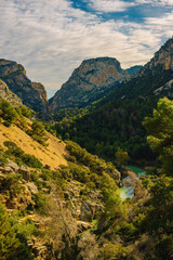 Fototapeta premium Guadalhorce river through rough steep rocky valley covered in green vegetation and trees with mountains on horizon under cloudy sky. Caminito del Rey, Malaga, Andalusia, Spain.