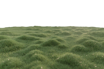 Lush green rolling grass hills with tiny white flowers, png, isolated on transparent background