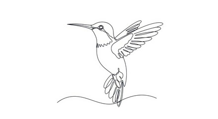 Fototapeta premium Minimalist Hummingbird Line Art Drawing in Flight