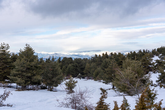 La station de montagne de Gr&eacute;oli&egrave;res-Les-Neiges.
