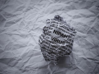 Crumpled paper ball with words Nipah Virus on a crumpled white paper background.