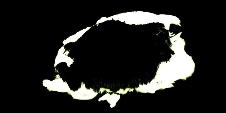 Abstract Colorful Ink Paint Diffusion Surreal Moving Spread Shapes