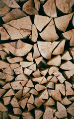 cross-section of wood in a stack on 35mm film