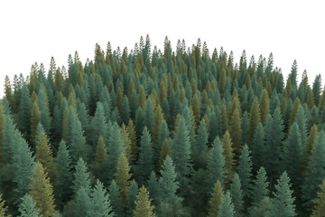 Tall green pine trees forest cluster isolated on transparent background
