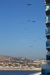 Leaving Marseilles Port followed by Seagulls