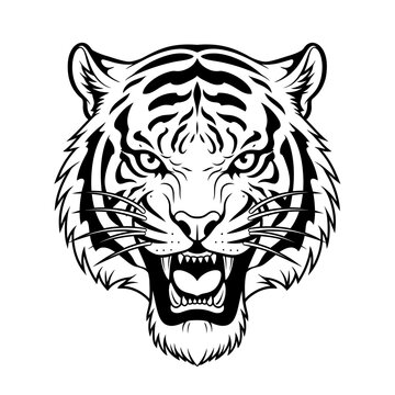 Fierce Roaring Tiger Head Black and White Vector Illustration