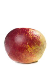 Fototapeta premium Fresh Red Yellow Apple from Zhaotong Yunnan China