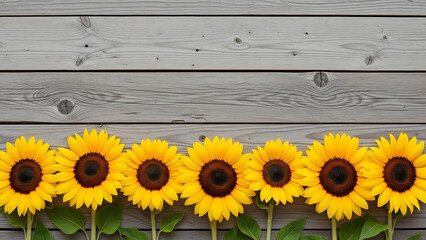 Obraz premium Vibrant Sunflowers Row, Nature Scene, Outdoors, Photography, Bright Light, Close-Up, Summer Beauty