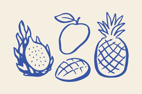 Tropical fruits doodle line art vector illustration
