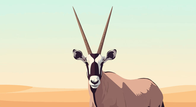Oryx gazella, a desert antelope with long, straight horns, gazes forward