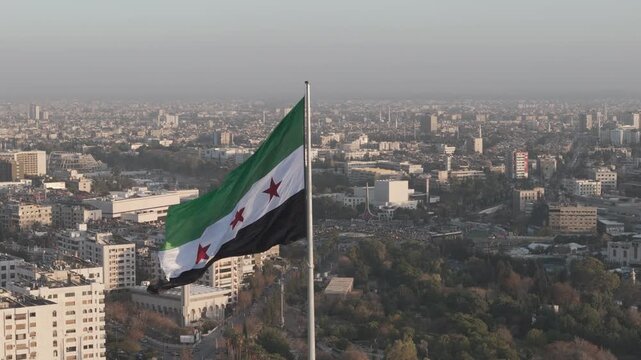 Syrian flag, high resolution, Baldron d-log