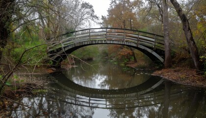 Fototapeta premium Tranquil wooden bridge reflected in calm waters surrounded by lush greenery and autumn foliage in a serene natural setting