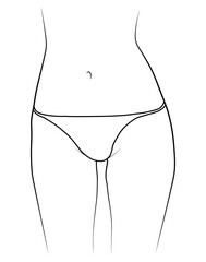 Woman legs swimsuit panties bikini hand drawing