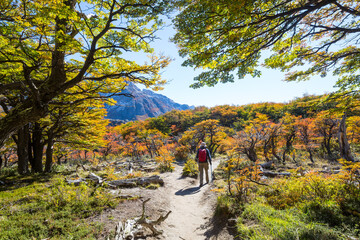Obraz premium Hike in Patagonia