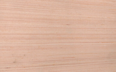 Fototapeta premium Light Natural Wood Texture Background. 