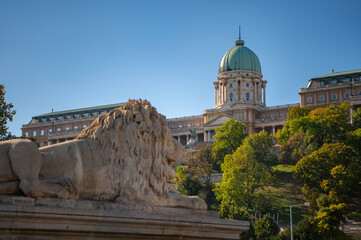 Fototapeta premium Lion statue and Buda Castle dome in Budapest Hungary