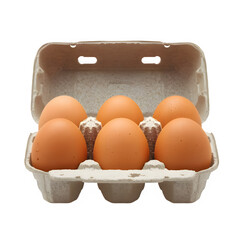 Fresh Brown Chicken Eggs in Open Recycled Carton Isolated on Transparent PNG Background
