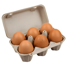 Fresh Brown Chicken Eggs in Open Recycled Carton Isolated on Transparent PNG Background