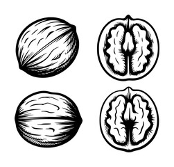 Fototapeta premium Whole walnuts and halved walnuts shown in a black and white style food ingredient