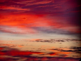 Fotobehang Bordeaux Bunter Abendhimmel nach Sonnenuntergang  © focus finder