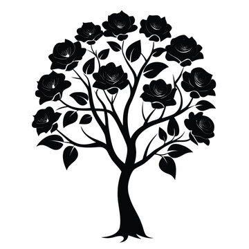 zephyranthes robusta silhouette flower vector isolated