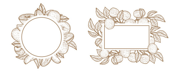 Tropical fruit star apple frame for wrapping design. Star apple fruit outline sketch background in vintage linear style.