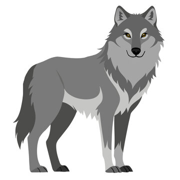 Cartoon Wolf standing in full body side view. Colorful Coyote. Suitable for children's books, sticker, mascot, logo. Isolated vector illustration on white background
