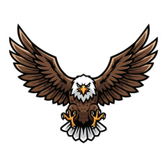 Illustration of a Bald Eagle in Flight