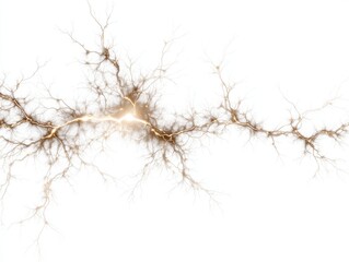 Obraz premium electric sparks overlay isolated on a transparent background ar 43