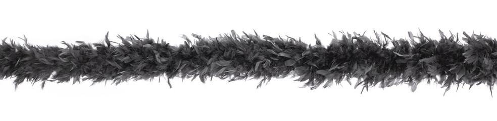 Black feather scarf isolated on white background