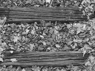 Old wooden railroad ties photographed in black and white