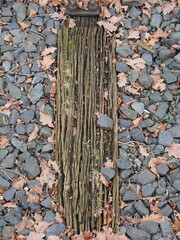 Old wooden railroad ties 