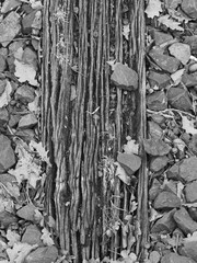 Old wooden railroad ties photographed in black and white