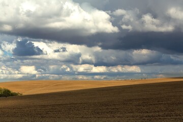 Naklejka premium beautiful view in farm field with rural plants