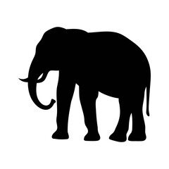 Obraz premium A black silhouette of an elephant standing on a white background