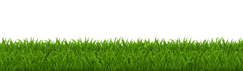 Fototapeta premium Green Grass Border Isolated White Background
