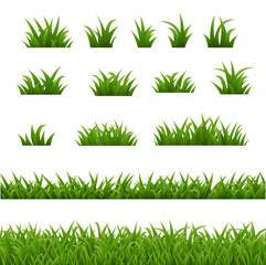 Fototapeta premium Green Grass Isolated White Background